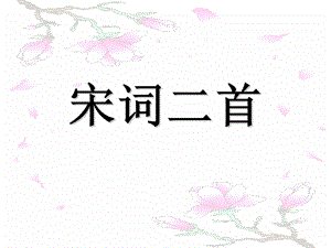 《宋词二首》(课用)ppt课件.ppt