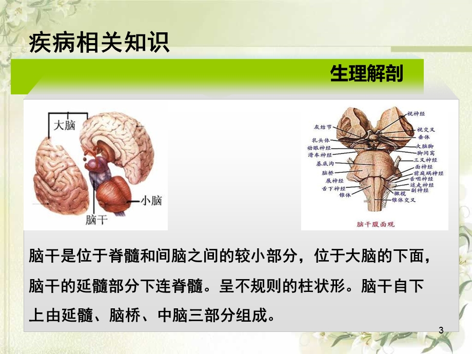 例重度脑干出血并VAP患者的个案护理查房总结课件.ppt_第3页