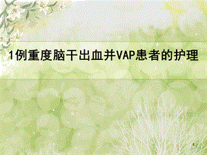 例重度脑干出血并VAP患者的个案护理查房总结课件.ppt