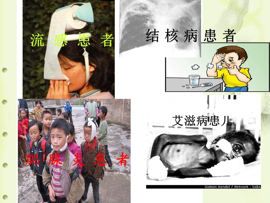 传染病及其预防ok课件.ppt_第2页