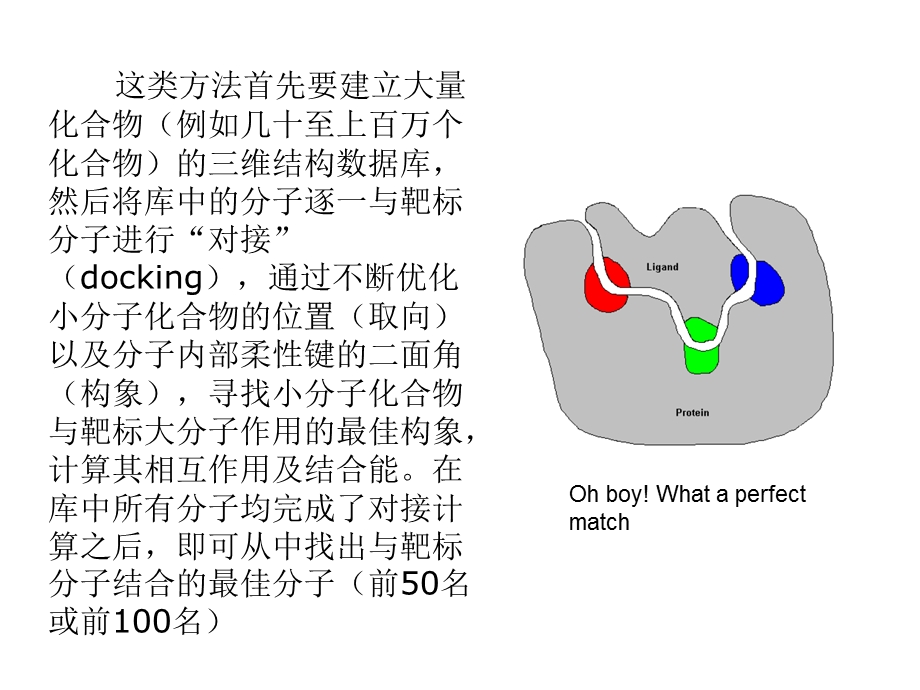 分子对接与药物虚拟筛选课件.pptx_第3页