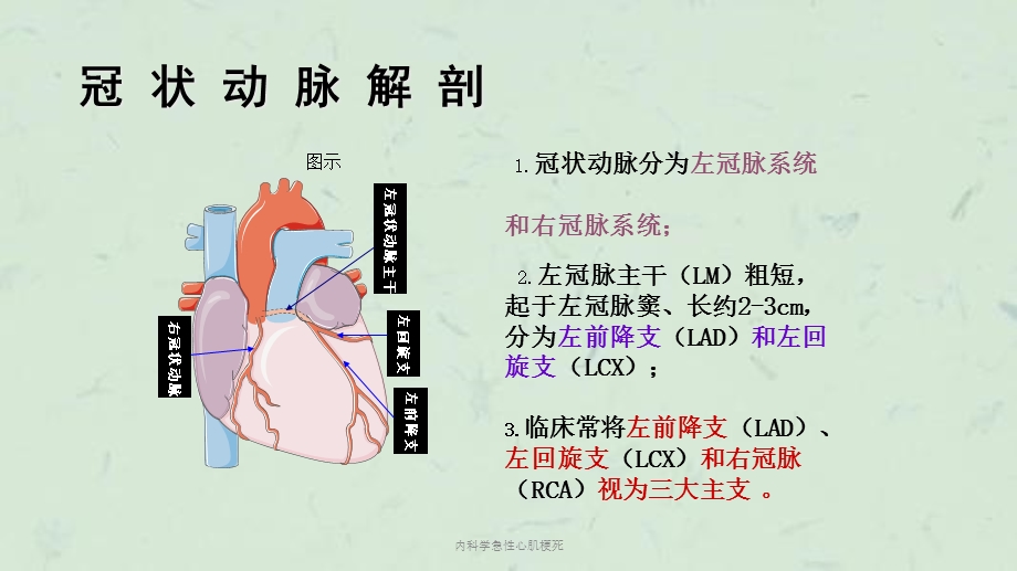 内科学急性心肌梗死课件.ppt_第3页