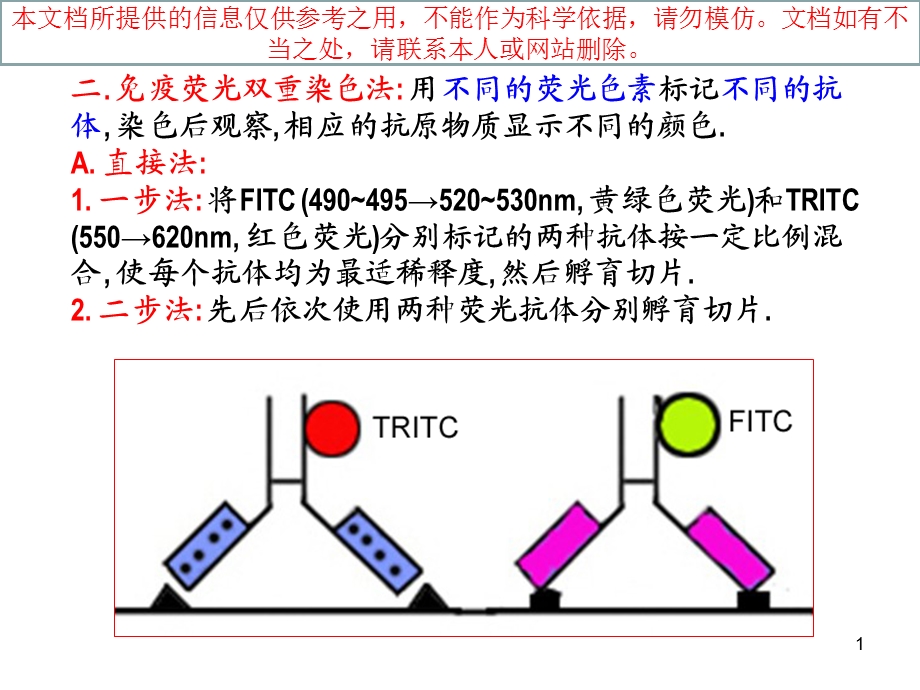 免疫组化双重染色技术培训课件.ppt_第1页