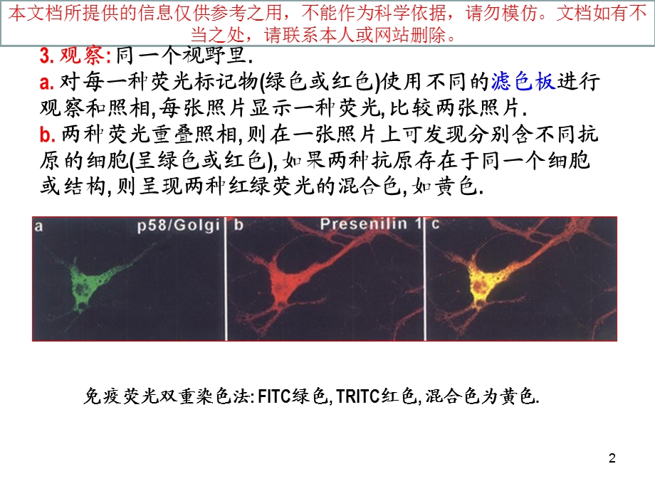 免疫组化双重染色技术培训课件.ppt_第2页