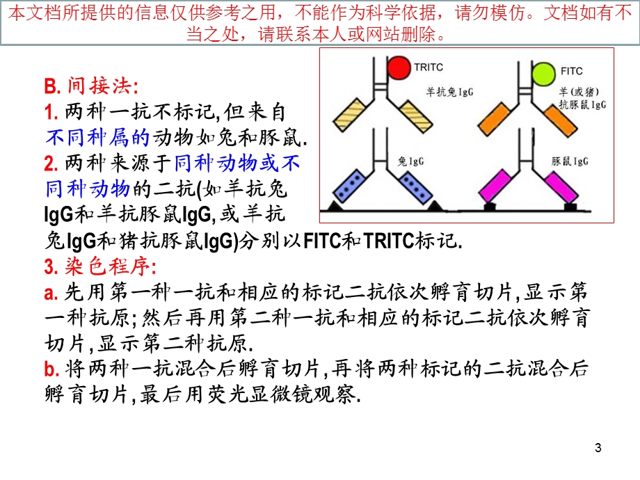 免疫组化双重染色技术培训课件.ppt_第3页