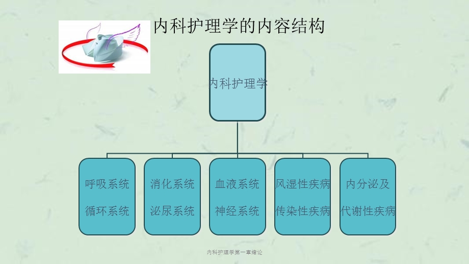 内科护理学第一章绪论课件.ppt_第3页