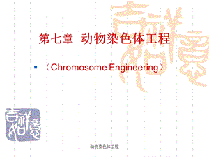 动物染色体工程课件.ppt