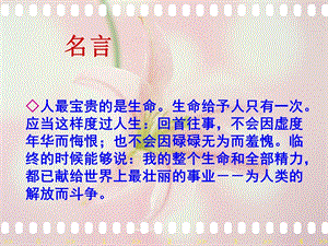 《钢铁是怎样炼成的》讲解精美（好）ppt课件.ppt