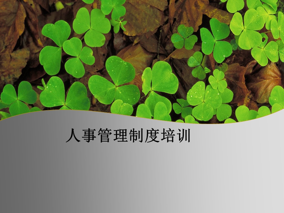 人事管理制度培训ppt课件.ppt_第1页