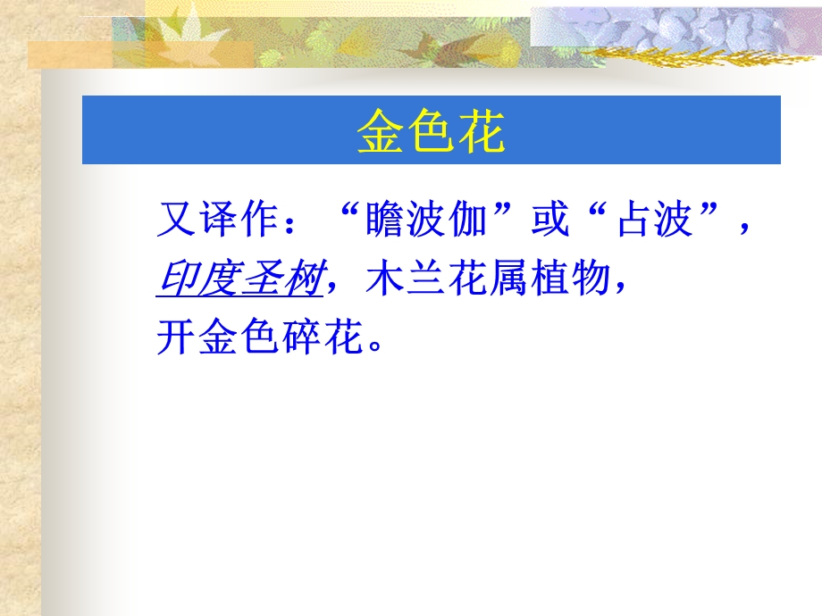 《金色花》ppt课件.ppt_第3页