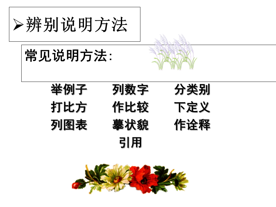 初中语文辨别说明方法及作用课件.ppt_第1页