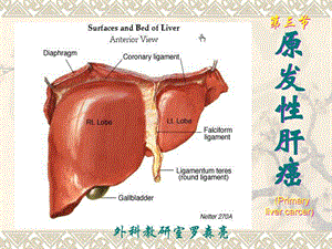 内科护理学课件原发性肝癌.ppt