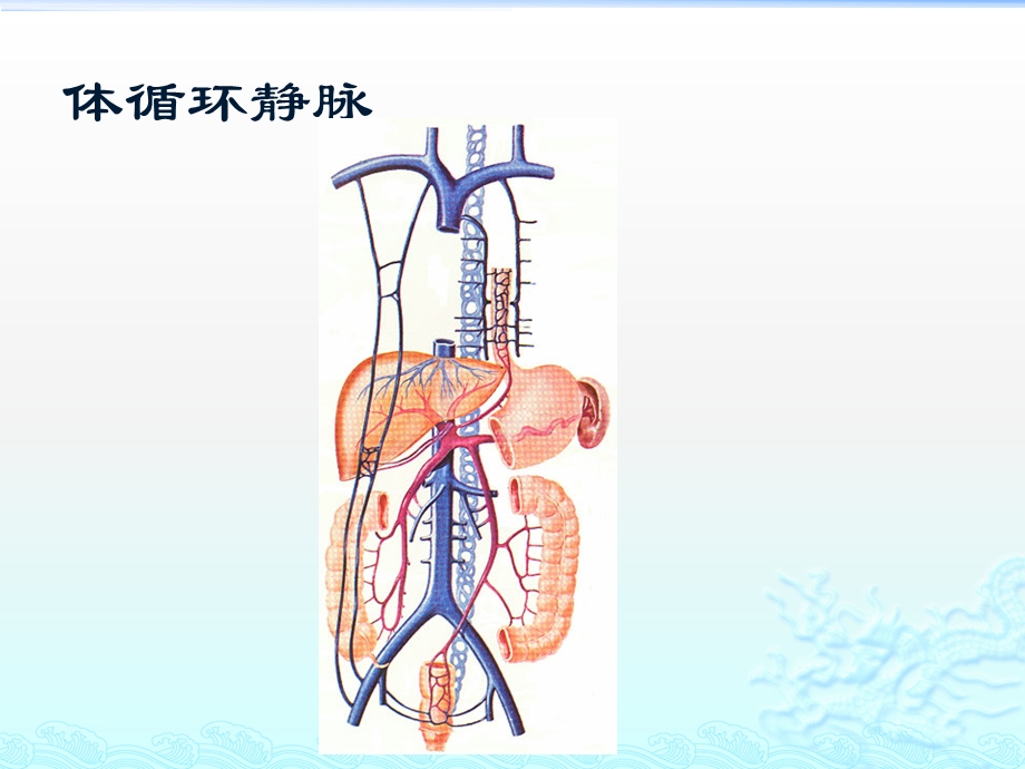 体内各静脉血管解剖及插管法n课件.pptx_第3页