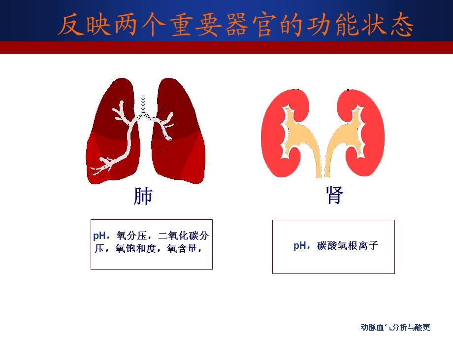 动脉血气分析与酸更课件.ppt_第3页