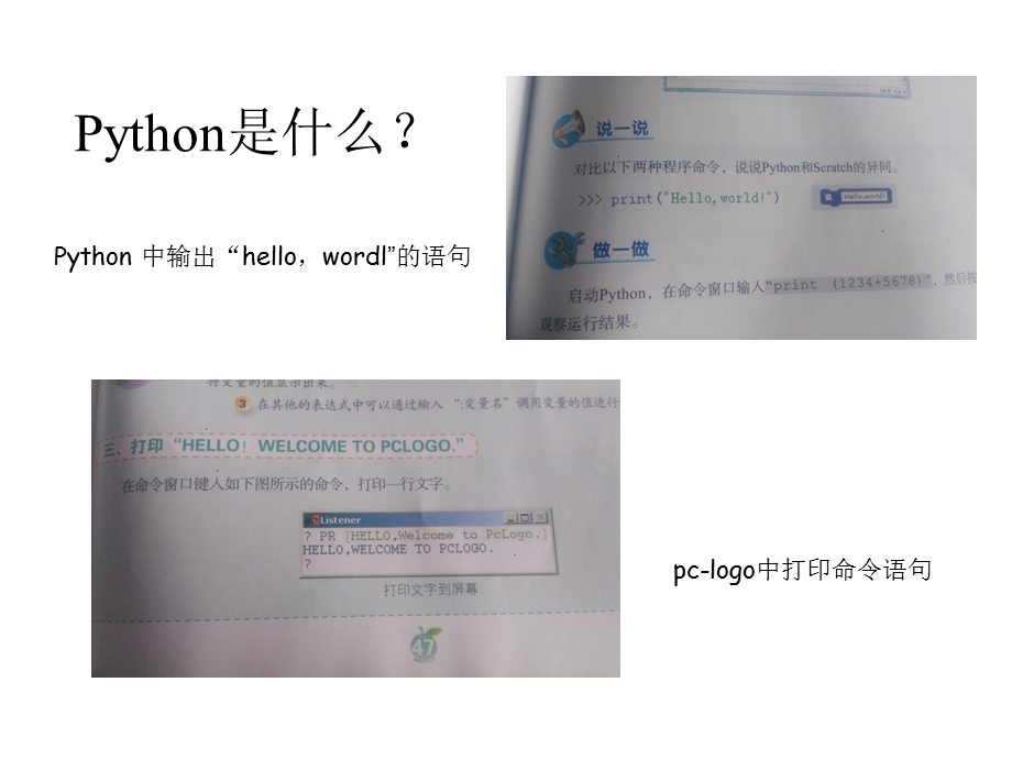 初中信息技术课程Python入门知识详解课件.ppt_第3页
