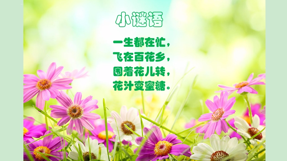 二年级美术《巧救小昆虫》岭南版ppt课件.ppt_第1页