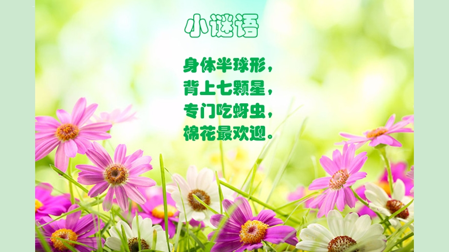 二年级美术《巧救小昆虫》岭南版ppt课件.ppt_第3页