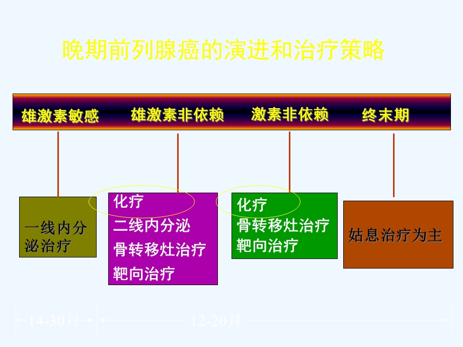 前列腺癌的化疗课件.ppt_第2页