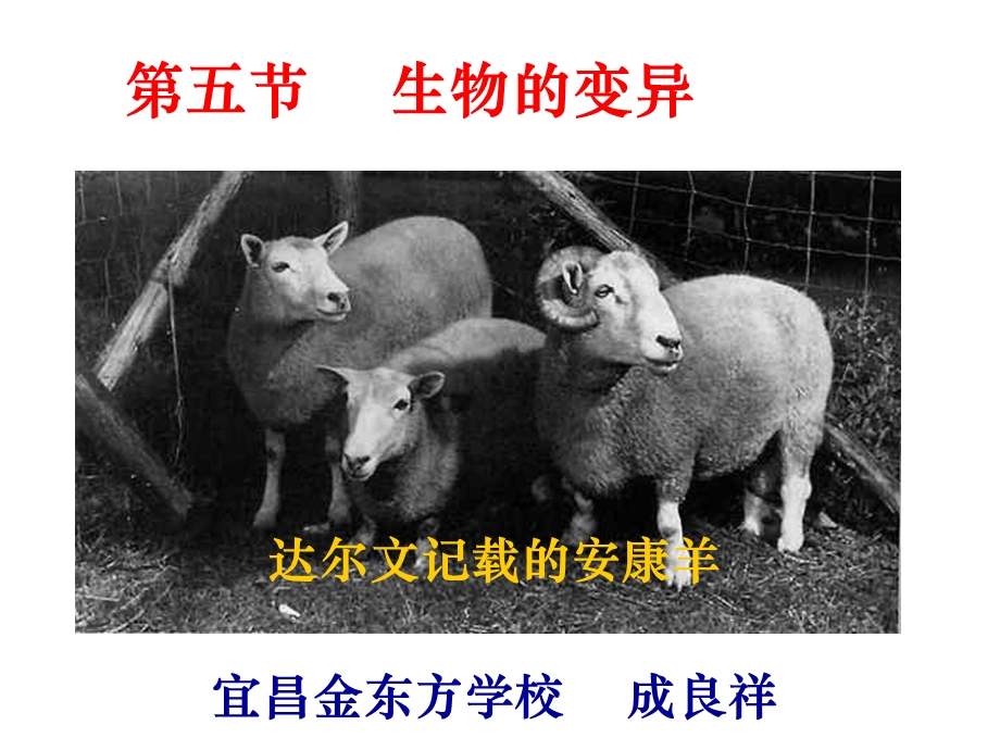 《生物的变异》PPT课件.ppt_第1页