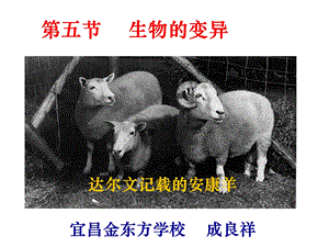 《生物的变异》PPT课件.ppt