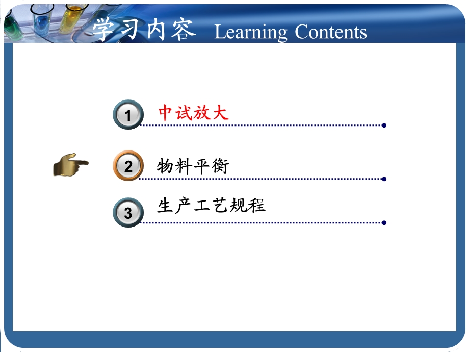 化学制药工艺学课件第5章中试放大与生产工艺规程.ppt_第2页