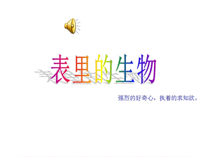 《表里的生物》课件.ppt