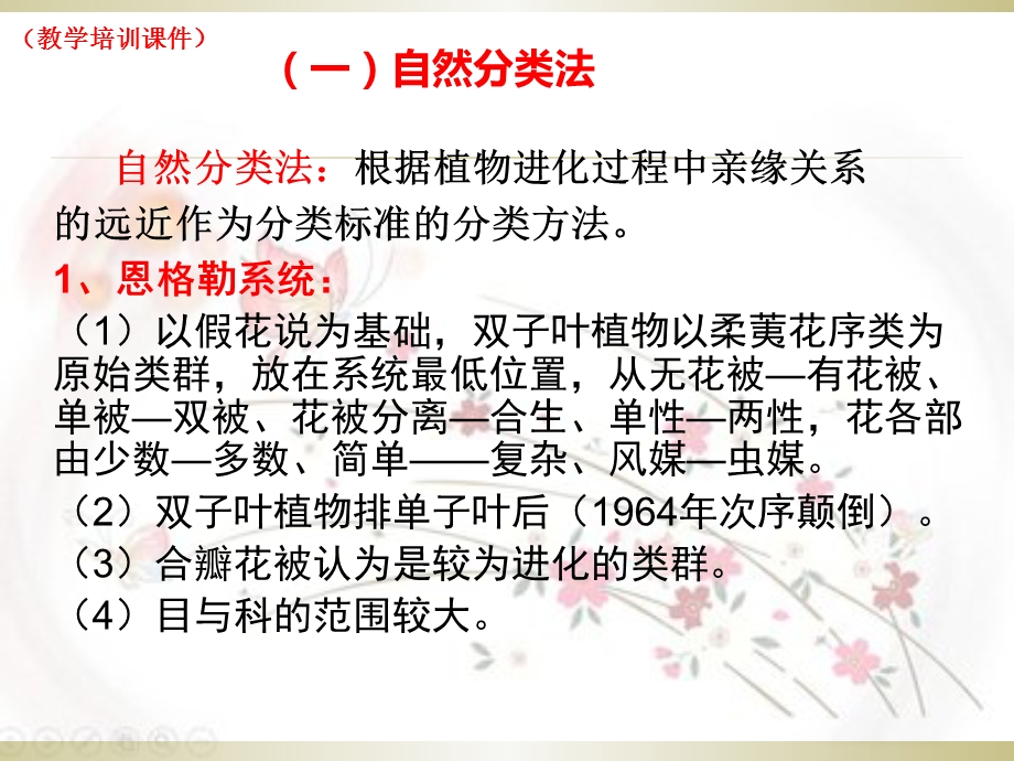 任务3园林植物分类基础(教学培训课件).ppt_第3页