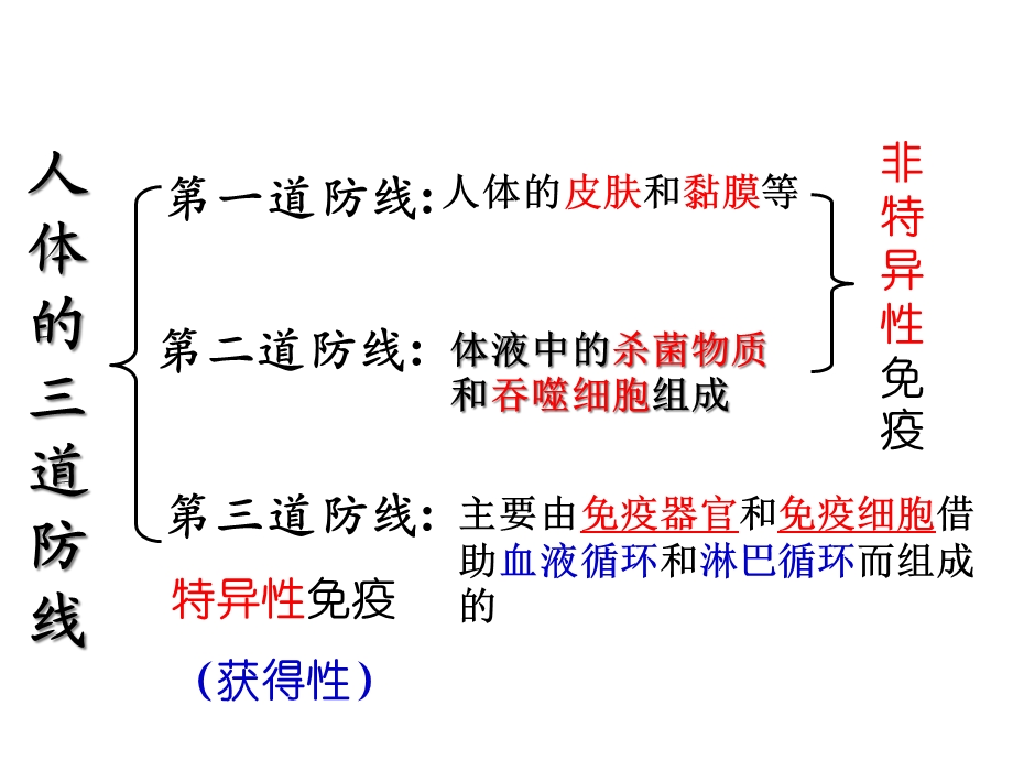 免疫调节(第二课时)课件.ppt_第2页