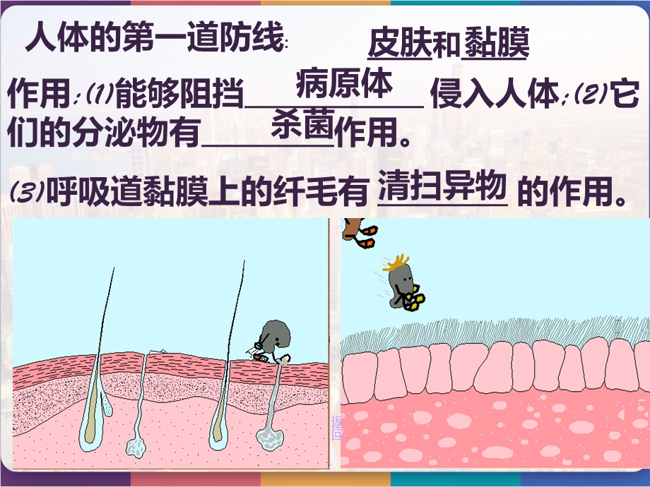 免疫与计划免疫课件.pptx_第3页