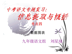 中考语文专题之数据图表ppt课件.ppt