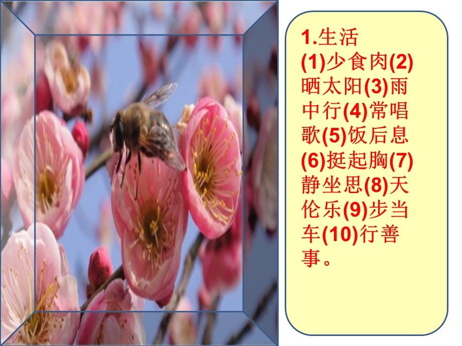 健康的生活方式课件.ppt_第2页