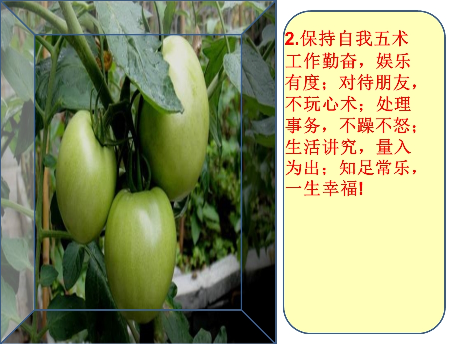 健康的生活方式课件.ppt_第3页