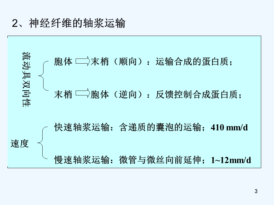 动物生理学第十三章神经系统的运动机能课件.ppt_第3页