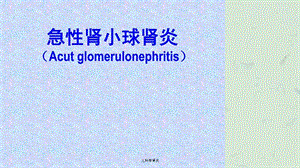 儿科学肾炎课件.ppt