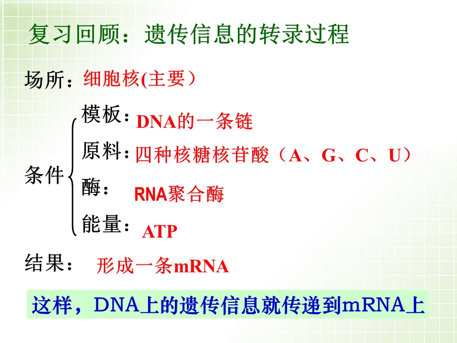 《遗传信息的翻译》ppt课件.ppt_第2页