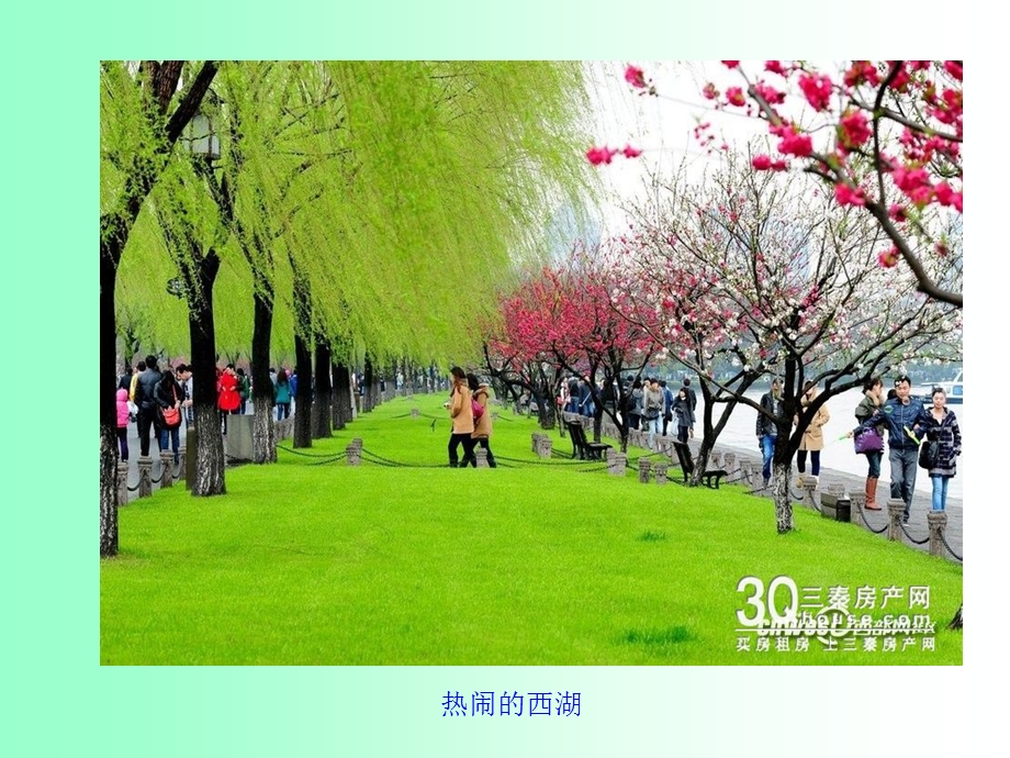 《饮湖上初晴后雨》ppt课件.ppt_第2页