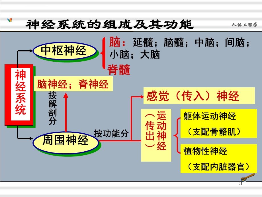 人体感知和心理特征ppt课件.ppt_第3页