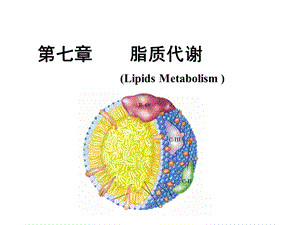 人卫版生物化学脂质代谢ppt课件.ppt