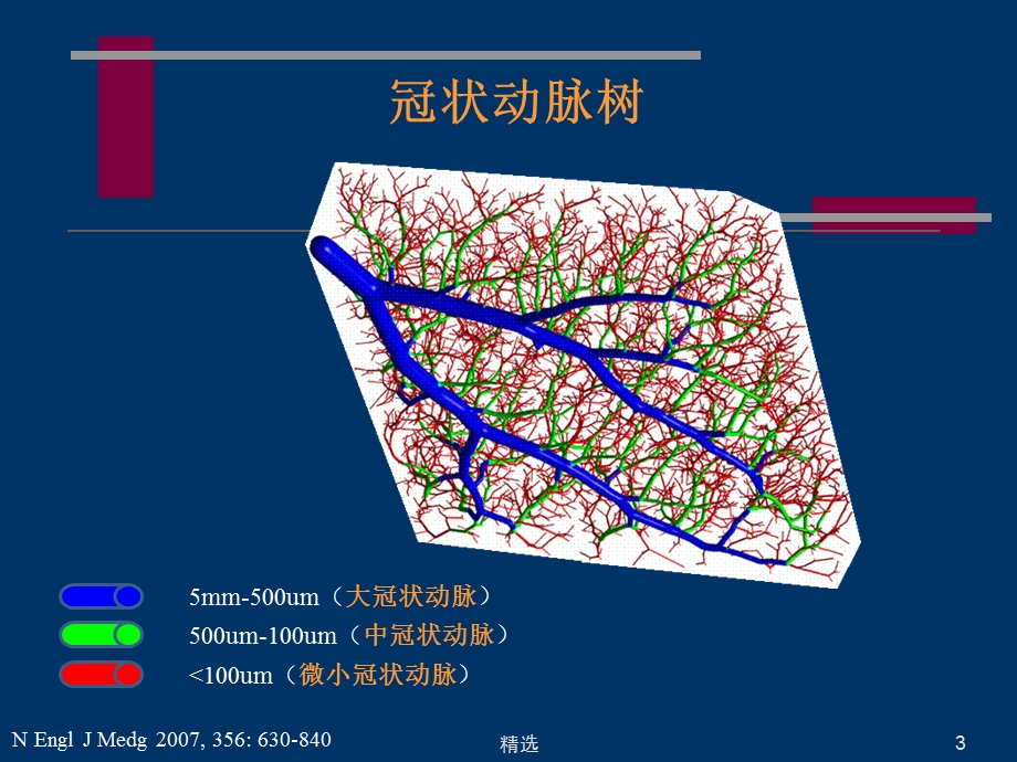 冠状动脉微血管病变和对策课件.ppt_第3页