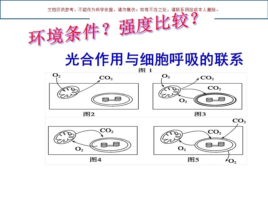 光合作用和细胞呼吸的关系课件.ppt_第3页