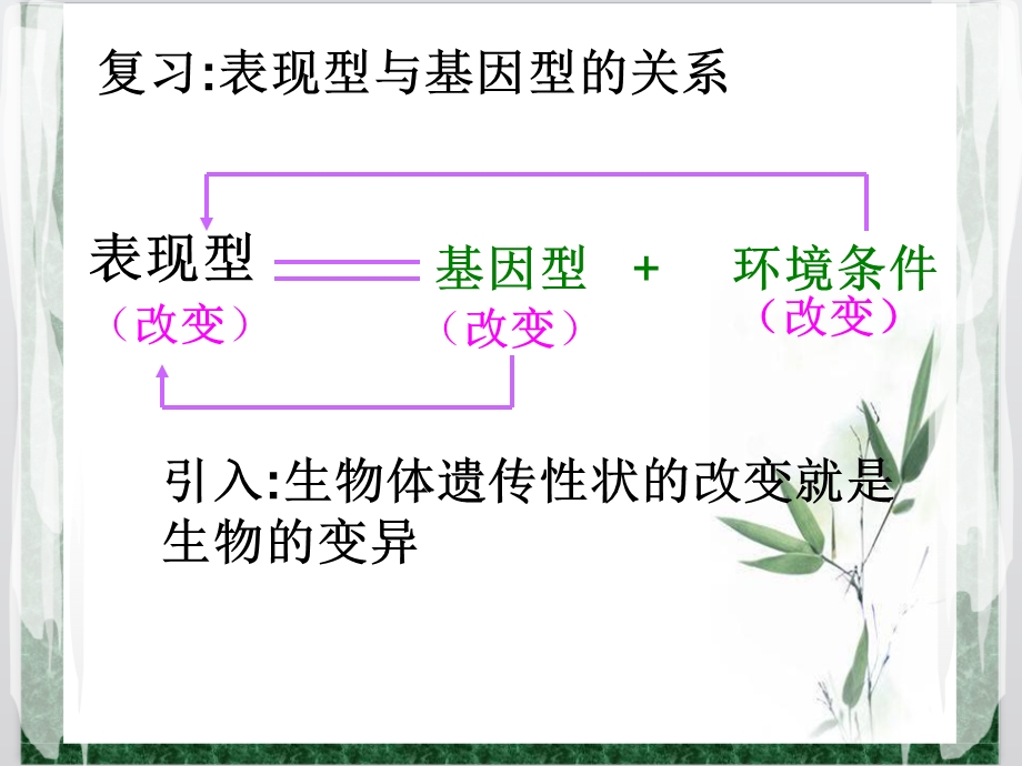 《基因突变》PPT课件.ppt_第2页