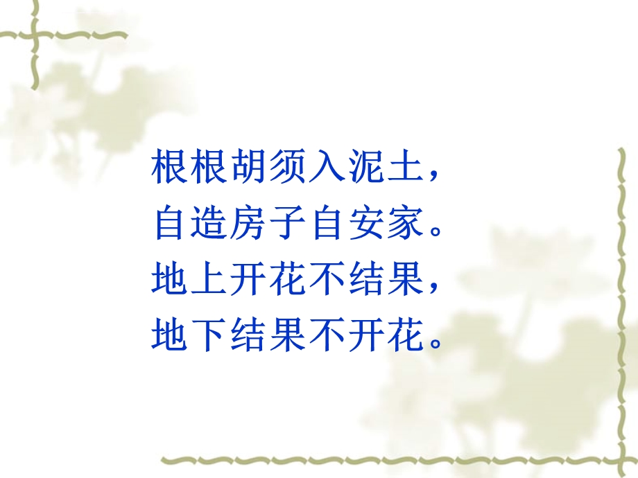 《落花生》ppt课件.ppt_第1页