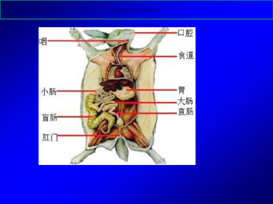 动物生理学主题医学知识课件.ppt_第3页