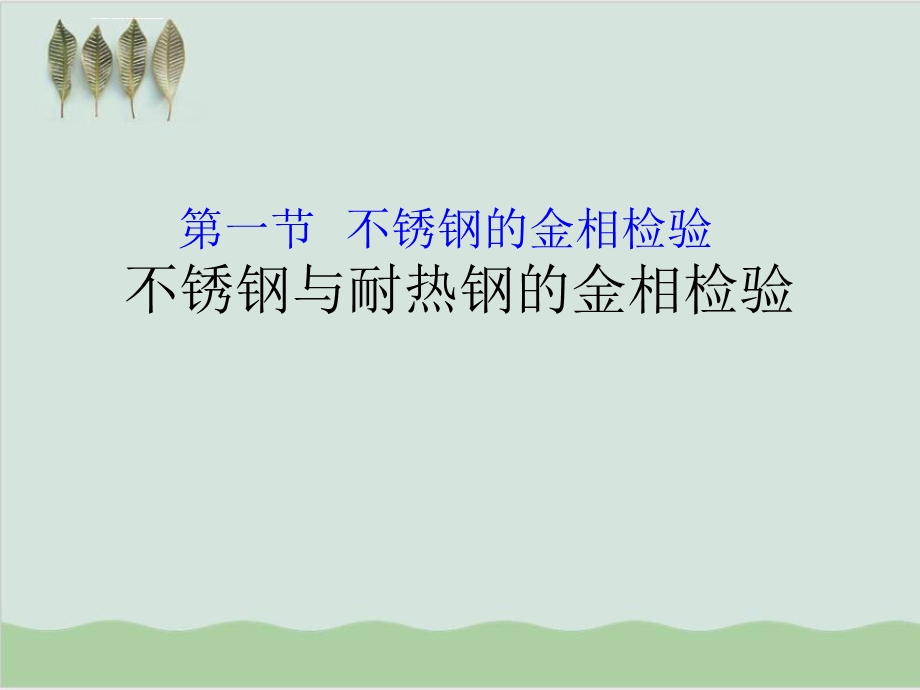 不锈钢与耐热钢的金相检验PPT课件.ppt_第1页