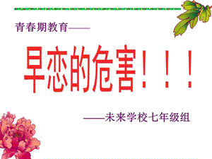 《早恋的危害》主题班会ppt课件.ppt