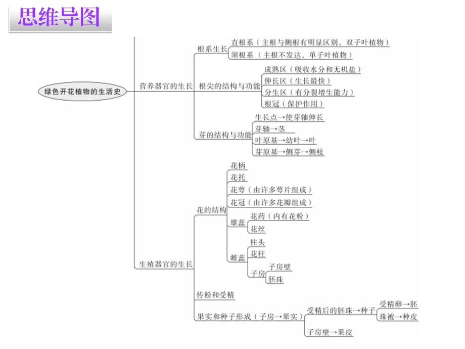 北师大版七年级上册生物第6章章末总结课件.ppt_第3页