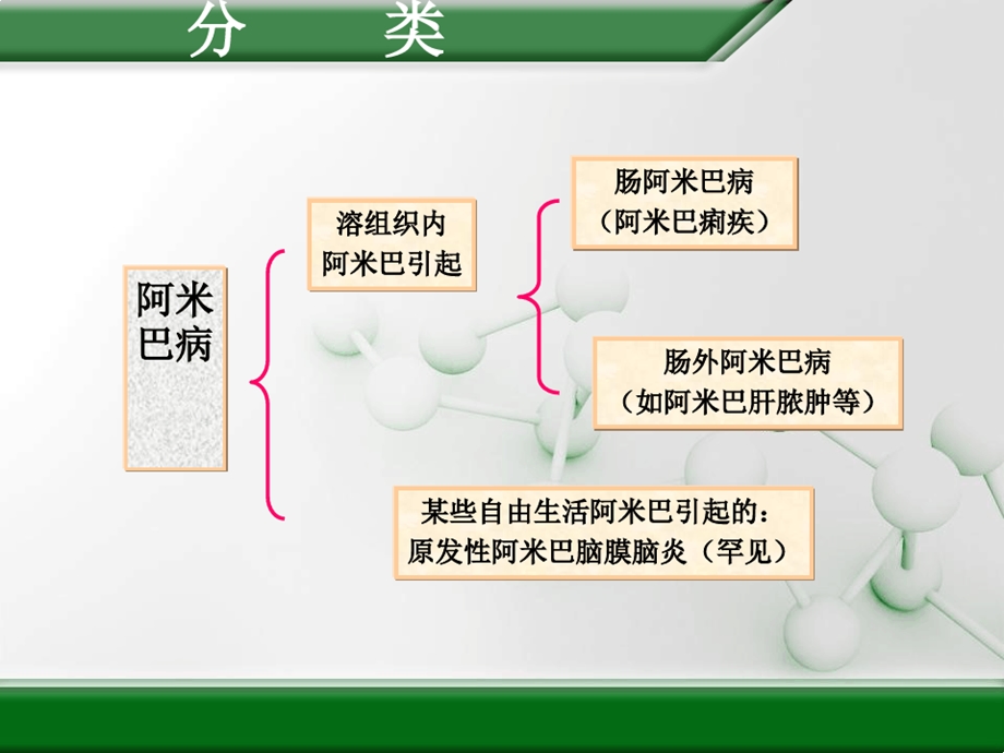 传染病护理学阿米巴课件.ppt_第3页