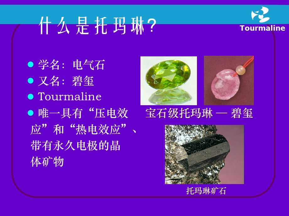 健康的生活来自托玛琳课件.ppt_第2页