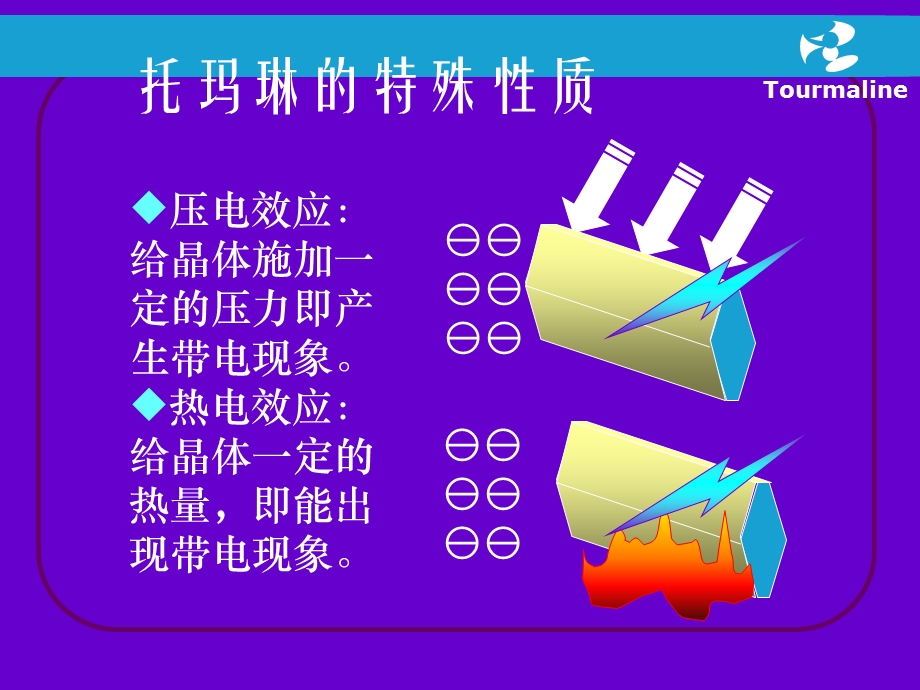 健康的生活来自托玛琳课件.ppt_第3页