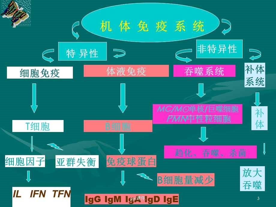 儿童免疫课件.ppt_第3页